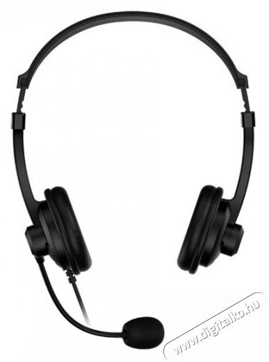 Genius HS-230U USB fekete headset Audio-Video / Hifi / Multimédia - Fül és Fejhallgatók - Fejhallgató mikrofonnal / headset - 442464
