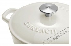 Gerlach NATUR IRON Öntöttvas edény 31 cm 5,5 l Konyhai termékek - Edény - Fazék / lábas - 504742