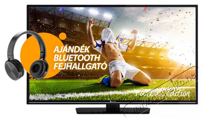 Gogen TVF40R25FE Full HD Smart LED televízió ajándék Bluetooth hangszóróval Televíziók - LED televízió - 1080p Full HD felbontású - 338516