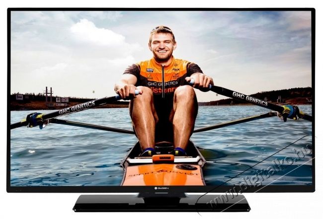 Gogen TVH24N384STWEB LCD LED telev&iacute;zi&oacute; Telev&iacute;zi&oacute;k - LED telev&iacute;zi&oacute; - 720p HD Ready felbont&aacute;s&uacute; - 334325