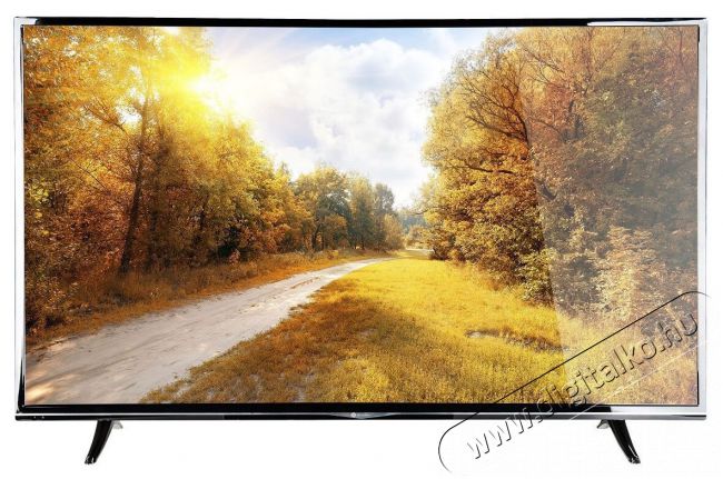 Gogen TVU55S298STWEB Ultra HD Smart LCD LED televízió Televíziók - LED televízió - UHD 4K felbontású - 334328