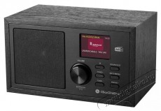 Gogen DAB620BTCS dab rádió Audio-Video / Hifi / Multimédia - Rádió / órás rádió - Internet webrádió - 378625