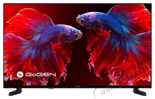 Gogen TVF 40P420T Televíziók - LED televízió - 1080p Full HD felbontású - 505839