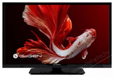 Gogen TVH 24P352T Televíziók - LED televízió - 720p HD Ready felbontású - 505837