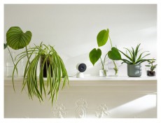 Google Nest Camera beltéri vezetékes Wi-Fi IP kamera Háztartás / Otthon / Kültér - Biztonságtechnika - Biztonsági kamera - 462586