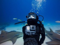 GoPro AHWBM-002 végtagra rögzíthető tartó és csuklópánt Fényképezőgép / kamera - Sport kamera tartozékok - Rögzítő / adapter - 340598