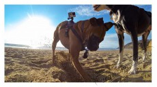 GoPro Fetch Dog Harness (ADOGM-001) Kutyahám Fényképezőgép / kamera - Sport kamera tartozékok - Rögzítő / adapter - 281481