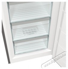 Gorenje FN619EAXL6 Fagyasztószekrény Konyhai termékek - Hűtő, fagyasztó (szabadonálló) - Fagyasztószekrény - 383703