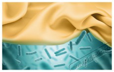 Gorenje DNE83/GN hőszivattyús szárítógép  Háztartás / Otthon / Kültér - Mosógép / szárítógép - Szárítógép - 403576