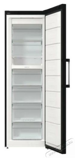 Gorenje FN619DABK6 fagyasztószekrény Konyhai termékek - Hűtő, fagyasztó (szabadonálló) - Fagyasztószekrény - 494301