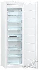 Gorenje FNI418EE1 Fagyasztószekrény Konyhai termékek - Hűtő, fagyasztó (szabadonálló) - Fagyasztószekrény - 494304