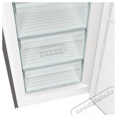 Gorenje FN619EES5 Konyhai termékek - Hűtő, fagyasztó (szabadonálló) - Fagyasztószekrény - 504410