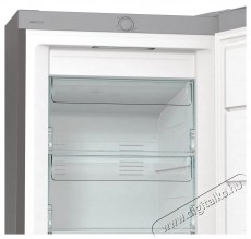Gorenje FN619EES5 Konyhai termékek - Hűtő, fagyasztó (szabadonálló) - Fagyasztószekrény - 504410