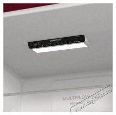Gorenje ONRK619DR-L Konyhai termékek - Hűtő, fagyasztó (szabadonálló) - Alulfagyasztós kombinált hűtő - 504433