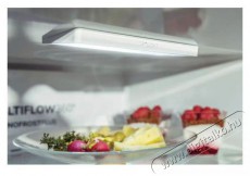Gorenje RK58DPB4 Konyhai termékek - Hűtő, fagyasztó (szabadonálló) - Alulfagyasztós kombinált hűtő - 504435
