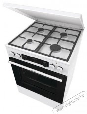 Gorenje GK6C5WF Konyhai term&eacute;kek - S&uuml;tő-főzőlap, tűzhely (szabadon&aacute;ll&oacute;) - Kombin&aacute;lt tűzhely (szabadon&aacute;ll&oacute;) - 505263