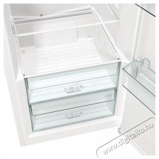 Gorenje RP619EEW5 Konyhai termékek - Hűtő, fagyasztó (szabadonálló) - Fagyasztó nélküli hűtő - 509571