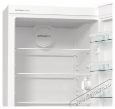 Gorenje RP619EEW5 Konyhai termékek - Hűtő, fagyasztó (szabadonálló) - Fagyasztó nélküli hűtő - 509571