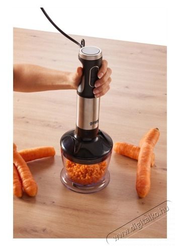 Gorenje HBX1000EB BOTMIXER SZETT Konyhai term&eacute;kek - Konyhai kisg&eacute;p (elők&eacute;sz&iacute;t&eacute;s / feldolgoz&aacute;s) - Botmixer - 510839