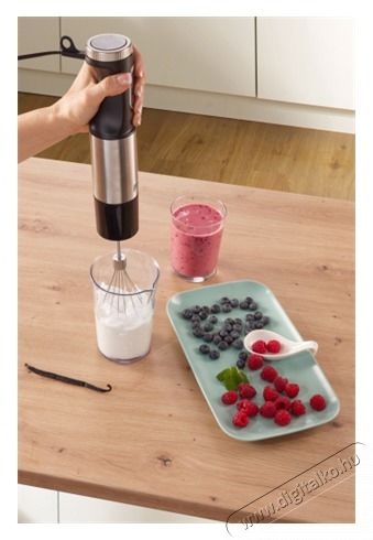 Gorenje HBX1000EB BOTMIXER SZETT Konyhai term&eacute;kek - Konyhai kisg&eacute;p (elők&eacute;sz&iacute;t&eacute;s / feldolgoz&aacute;s) - Botmixer - 510839