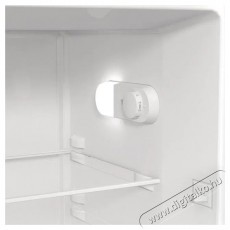 Gorenje R615EEW5 Konyhai termékek - Hűtő, fagyasztó (szabadonálló) - Fagyasztó nélküli hűtő - 509320