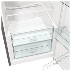 Gorenje R619EES5 Konyhai termékek - Hűtő, fagyasztó (szabadonálló) - Egyajtós hűtő - 509370