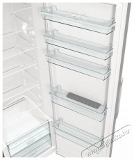 Gorenje R619EES5 Konyhai termékek - Hűtő, fagyasztó (szabadonálló) - Egyajtós hűtő - 509370