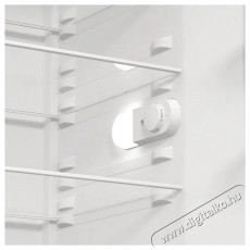 Gorenje R619EES5 Konyhai termékek - Hűtő, fagyasztó (szabadonálló) - Egyajtós hűtő - 509370