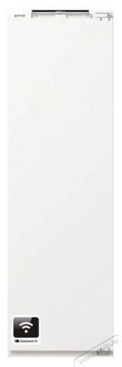 Gorenje RI517E41WF Konyhai term&eacute;kek - Hűtő, fagyaszt&oacute; (be&eacute;p&iacute;thető) - Egyajt&oacute;s hűtő - 515448