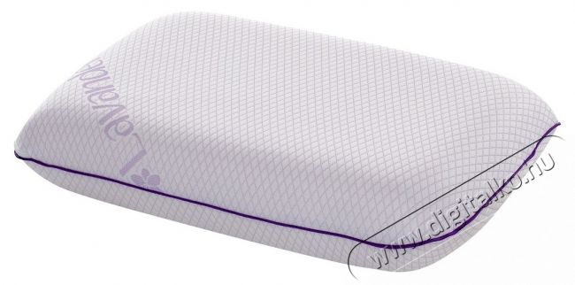 Green Future Lavanda Therapy Gel Mem&oacute;riahabos p&aacute;rna, 40x60x12 cm Sz&eacute;ps&eacute;g&aacute;pol&aacute;s / Eg&eacute;szs&eacute;g - Egy&eacute;b sz&eacute;ps&eacute;g / eg&eacute;szs&eacute;g term&eacute;k - 536621