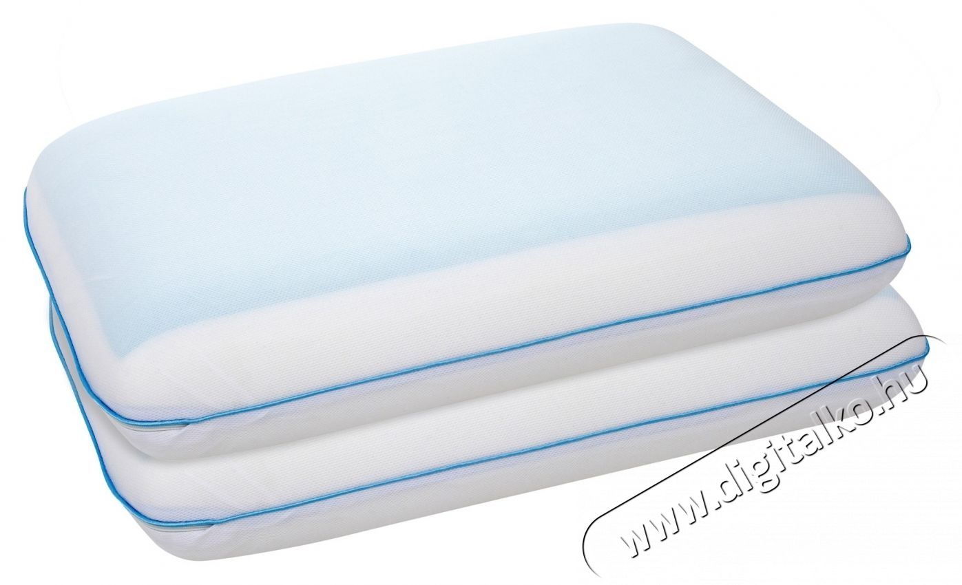 Green Future Memory Arctic Gel P&aacute;rna szett, 2 darab, 40x60x12 cm Sz&eacute;ps&eacute;g&aacute;pol&aacute;s / Eg&eacute;szs&eacute;g - Egy&eacute;b sz&eacute;ps&eacute;g / eg&eacute;szs&eacute;g term&eacute;k - 536624