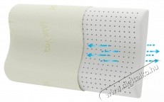 Green Future Soft Memory Latex Aloe Vera P&aacute;rna, 41 x 60 x 11 cm Sz&eacute;ps&eacute;g&aacute;pol&aacute;s / Eg&eacute;szs&eacute;g - Egy&eacute;b sz&eacute;ps&eacute;g / eg&eacute;szs&eacute;g term&eacute;k - 536623