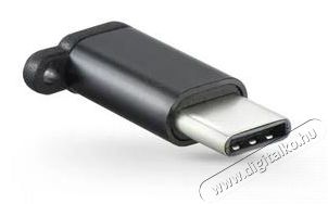 HAFFNER PT-4587 Micro USB/Type-C fekete t&ouml;ltő adapter Mobil / Kommunik&aacute;ci&oacute; / Smart - Mobiltelefon kieg&eacute;sz&iacute;tő / tok - SIM adapter - 434377