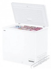 Haier HCE200D Konyhai termékek - Hűtő, fagyasztó (szabadonálló) - Fagyasztóláda - 505736
