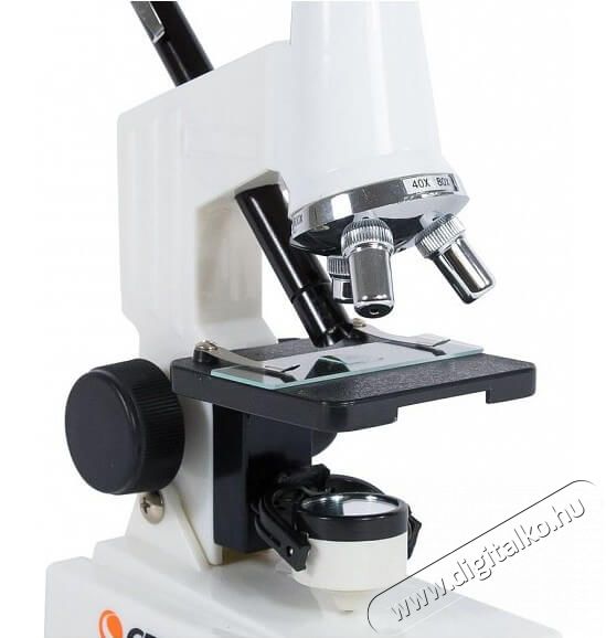 Hama CELESTRON Biol&oacute;giai microscope KIT T&aacute;vcs&ouml;vek / Optika - Mikroszk&oacute;p - &Aacute;llv&aacute;nyos mikroszk&oacute;p - 359773