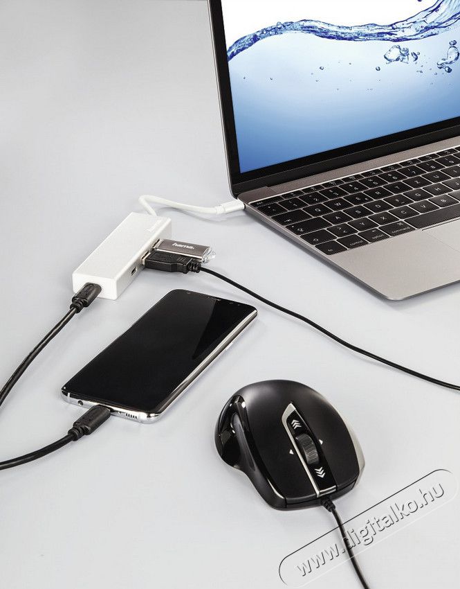 Hama USB 3.1 TYPE-C HUB (2 USB-A, 2 USB TYPE-C) - 135755 Iroda és számítástechnika - Notebook kiegészítő - USB hub / elosztó - 361935