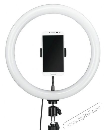 Hama LED körlámpa - 4643 Fotó-Videó kiegészítők - Állvány - Stúdió (vaku / lámpa) állvány - 363600