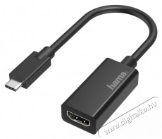 Hama 205160 FIC Ultra HD (4K) USB-C - HDMI adapter Tv kiegészítők - Kábel / csatlakozó - Csatlakozó / elosztó / átalakító - 379867