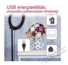 Hama Led körlámpa spotlight steady 120 II állvány, okostelefonokhoz (4659) Mobil / Kommunikáció / Smart - Mobiltelefon kiegészítő / tok - Tartó / rögzítő / állvány - 403651