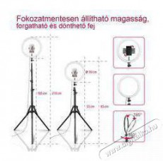 Hama Led körlámpa spotlight steady 120 II állvány, okostelefonokhoz (4659) Mobil / Kommunikáció / Smart - Mobiltelefon kiegészítő / tok - Tartó / rögzítő / állvány - 403651