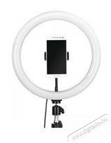Hama Led körlámpa spotlight steady 120 II állvány, okostelefonokhoz (4659) Mobil / Kommunikáció / Smart - Mobiltelefon kiegészítő / tok - Tartó / rögzítő / állvány - 403651