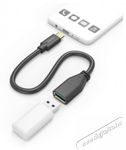 Hama 201605 FIC E3 USB Type-C OTG 0,15 m adapter Háztartás / Otthon / Kültér - Világítás / elektromosság - Hálózati elosztó / hosszabbító / adapter - 456653