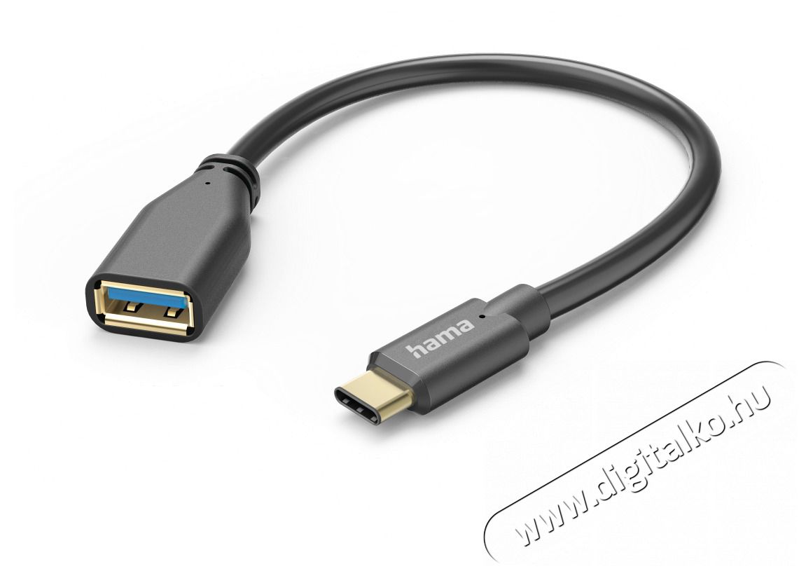 Hama 201605 FIC E3 USB Type-C OTG 0,15 m adapter Háztartás / Otthon / Kültér - Világítás / elektromosság - Hálózati elosztó / hosszabbító / adapter - 456653