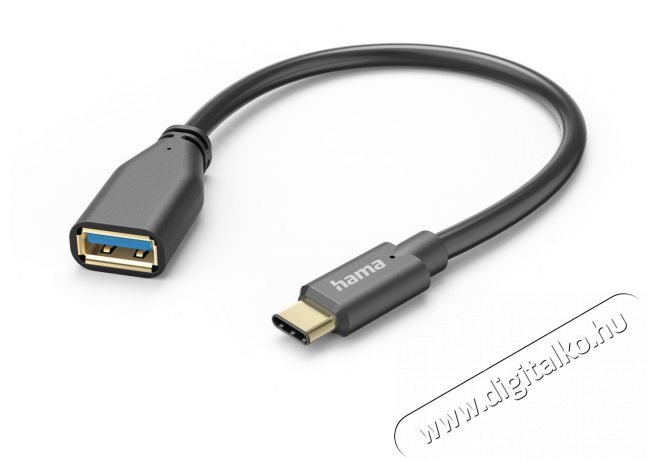 Hama 201605 FIC E3 USB Type-C OTG 0,15 m adapter Háztartás / Otthon / Kültér - Világítás / elektromosság - Hálózati elosztó / hosszabbító / adapter - 456653