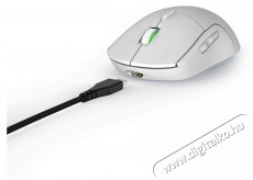 Hama GAMING URAGE REAPER 250 OPTIKAI EGÉR, FEHÉR 6200DPI (217837) Iroda és számítástechnika - Egér - Vezeték nélküli egér - 493578