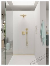 Hansgrohe Raindance Select E120 zuhanyfej, 3 f&uacute;v&oacute;ka, pol&iacute;rozott arany optika H&aacute;ztart&aacute;s / Otthon / K&uuml;lt&eacute;r - F&uuml;rdőszoba / wc - Kieg&eacute;sz&iacute;tő - 536755