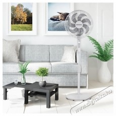 Heiner HSF-M750M-WH &aacute;ll&oacute;ventil&aacute;tor, 50W, 7 lap&aacute;t, Időz&iacute;tő: 2h, Mechanikus vez&eacute;rl&eacute;s, 85 -os oszcill&aacute;ci&oacute;s funkci&oacute;, 3 sebess&eacute;gfokozat, &Aacute;ll&iacute;that&oacute; magass&aacute;g, max. magass&aacute;g: 130cm, Feh&eacute;r H&aacute;ztart&aacute;s / Otthon / K&uuml;lt&eacute;r - Ventil&aacute;tor / L&eacute;gkondicion&aacute;l&oacute; - &Aacute;ll&oacute; / padl&oacute; ventil&aacute;tor - 533438