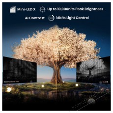 Hisense 110UXNQ Telev&iacute;zi&oacute;k - LED telev&iacute;zi&oacute; - UHD 4K felbont&aacute;s&uacute; - 505851