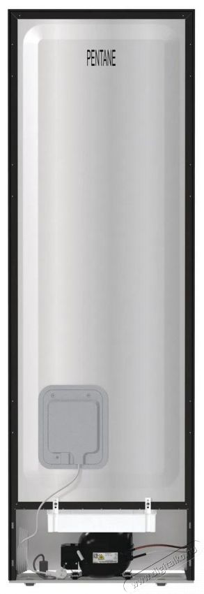 Hisense RB390N4CFD0 Konyhai term&eacute;kek - Hűtő, fagyaszt&oacute; (szabadon&aacute;ll&oacute;) - Alulfagyaszt&oacute;s kombin&aacute;lt hűtő - 509419