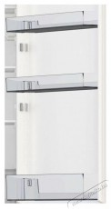 Hisense RB440N4AFC Konyhai termékek - Hűtő, fagyasztó (szabadonálló) - Alulfagyasztós kombinált hűtő - 509362